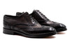 Campagna Italian Calf Leather Wingtip - Espresso