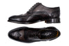 Campagna Italian Calf Leather Wingtip - Espresso