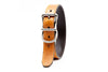 Royal Sporting Dog Collar - Palomino