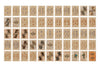 Royal Flush Playing Cards - Grey Camo