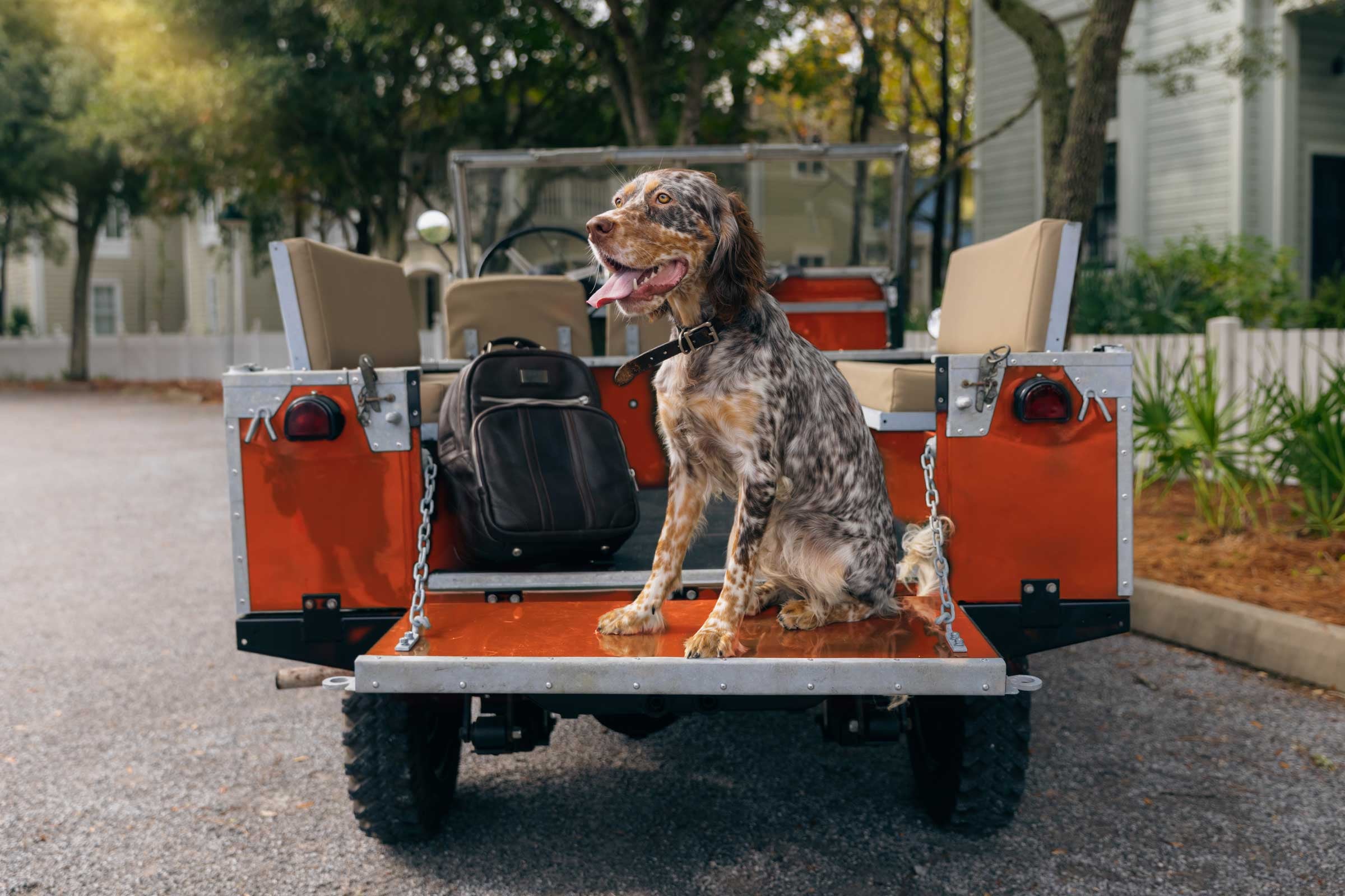 Martin Dingman Official | The Refined Country Life