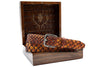 Genuine Amazonian Arapaima Belt - Blackened Chestnut in front of Martin Dingman Solid Wood Display Box