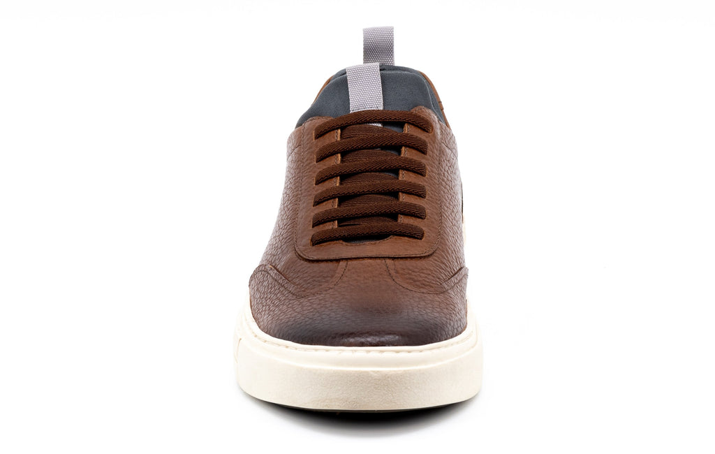 David Pebble Grain Leather Sneakers - Whiskey - Front