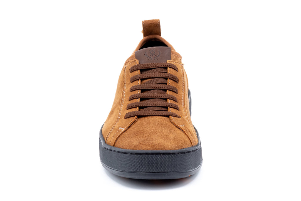 MD Signature Sheep Skin Water Repellent Suede Leather Sneakers - Tobacco